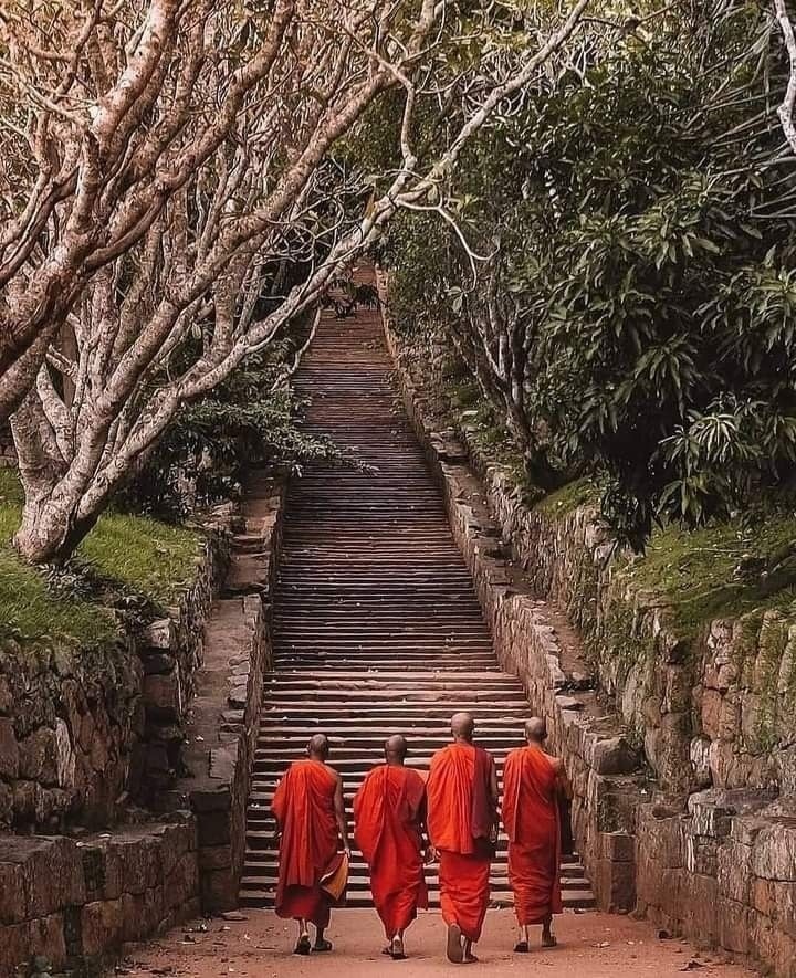 Monks